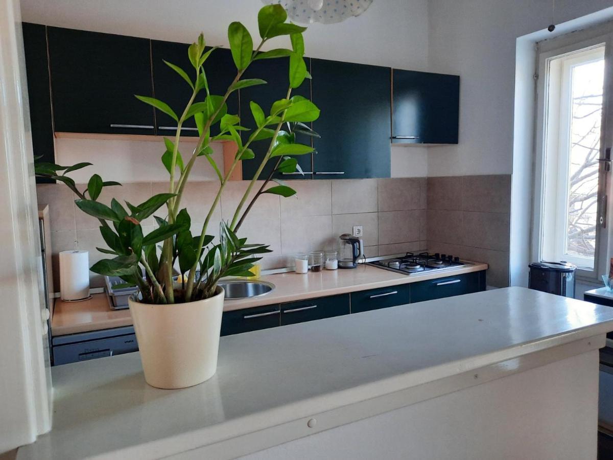 Apartman Soda Ogulin Kültér fotó